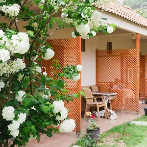  Проживание в семье Village Garden